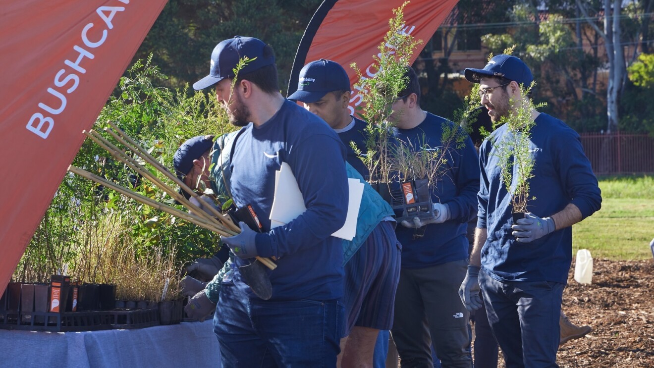 Amazon employees carry seedlings ready for planting