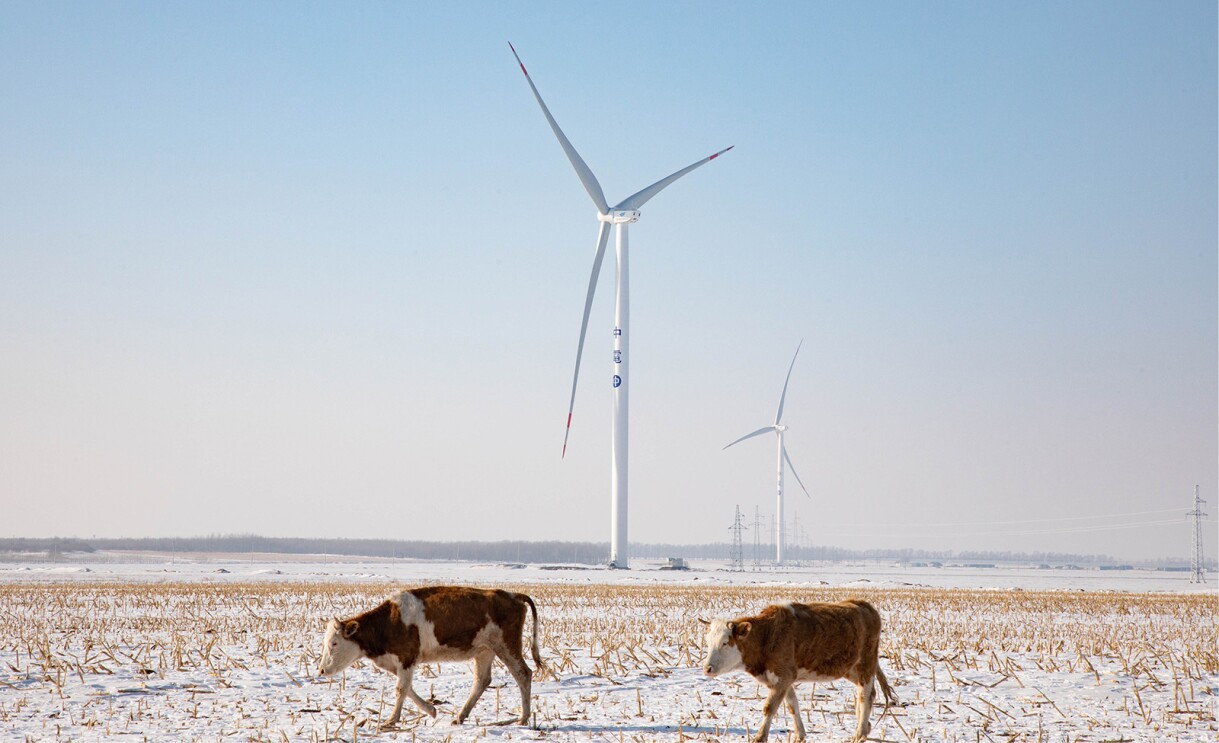 An image of a farm from one of Amazon's renewable energy projects around the world.