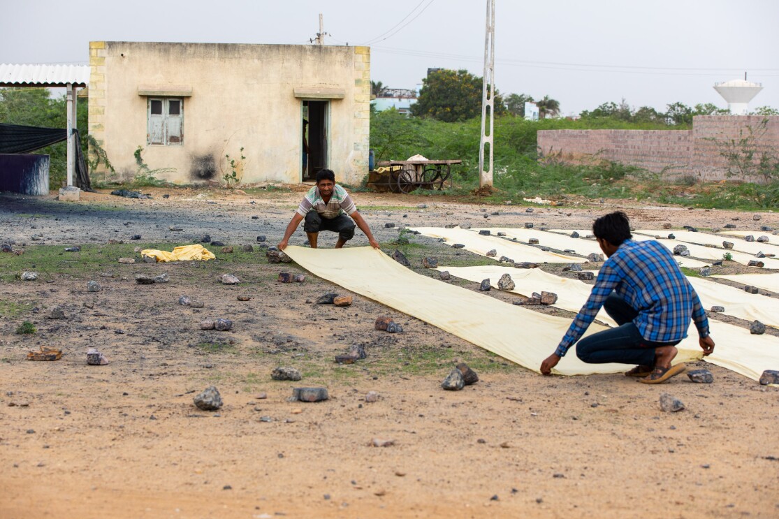 Drying Ajrakh Prints