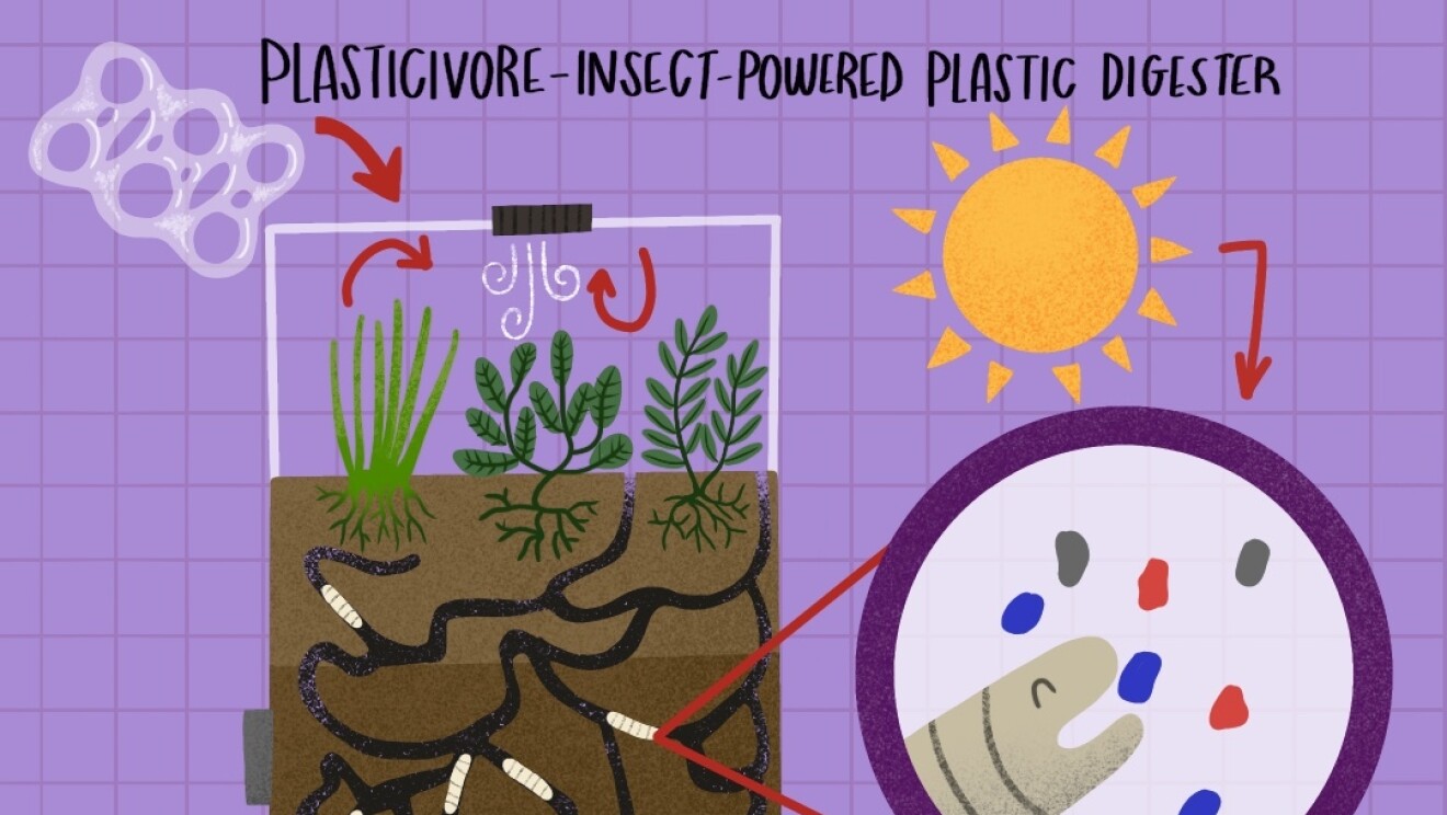 30_Plasticivore-_Insect-_Powered_Plastic_Digester