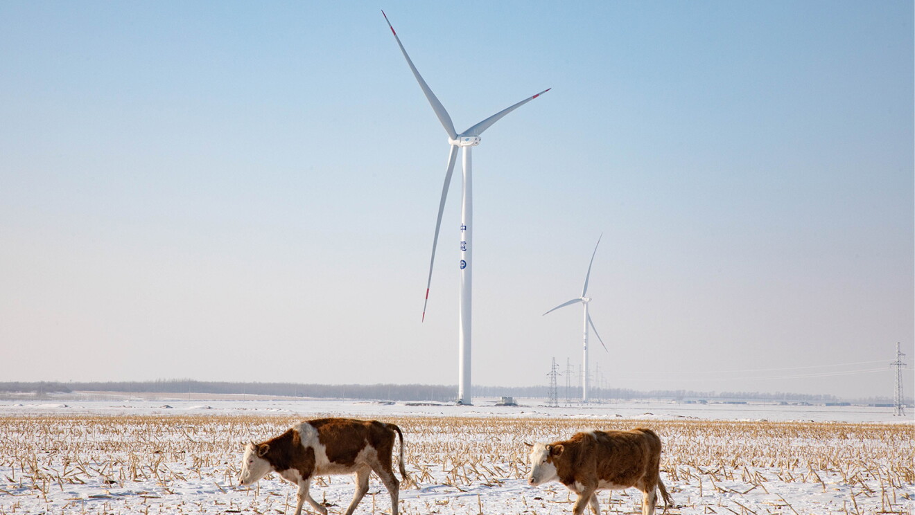 Imagen de una granja de uno de los proyectos de energía renovable de Amazon en todo el mundo.