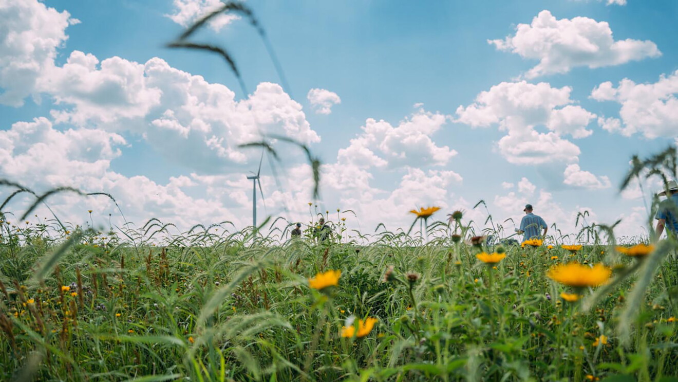 Amazon_wind farms_2.JPG 