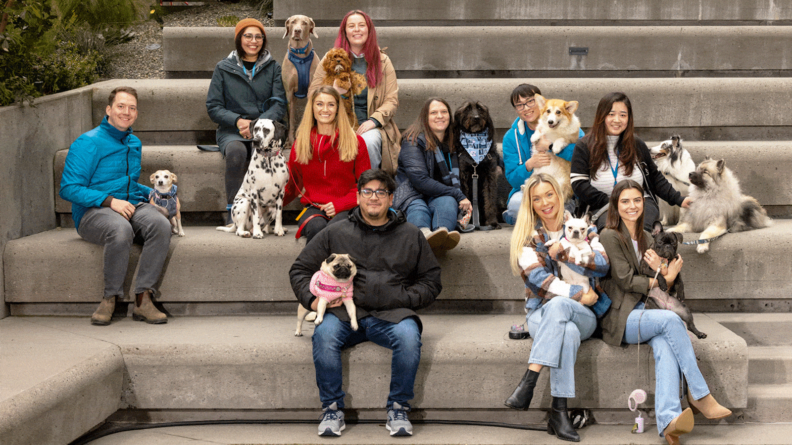 An animated GIF showing several photos of dogs with their parents at the Amazon offices in Seattle. There are statistics overlaying each image. These include: "114 dog-friendly offices," "Longest dog name: Maple Whilhelmina, Devourer of Souls," and "10,470 dogs registered (and counting!)"