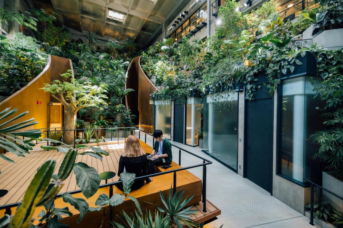 Amazonのオフィスツアー vol.11:倉庫のリノベーションで創造性が刺激される緑豊かな働きやすい職場を実現したアマゾンジャパン品川オフィス