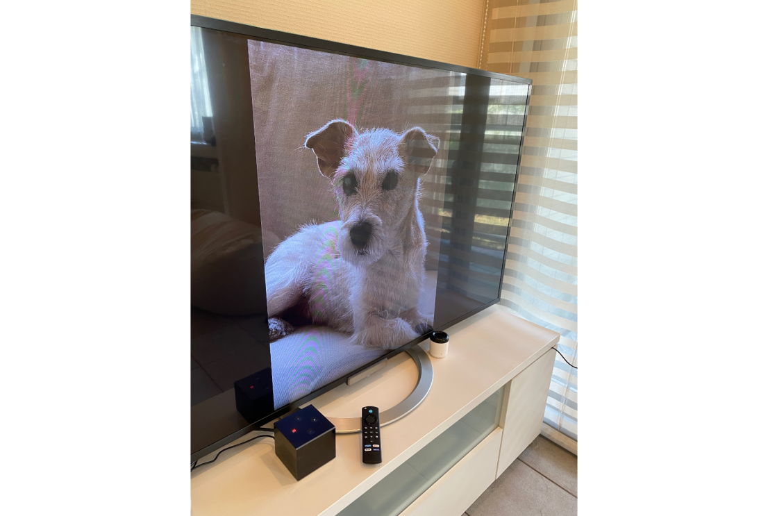 Amazon社員がおすすめする、Alexa（アレクサ）やAmazonデバイスを活用したペットとの暮らし