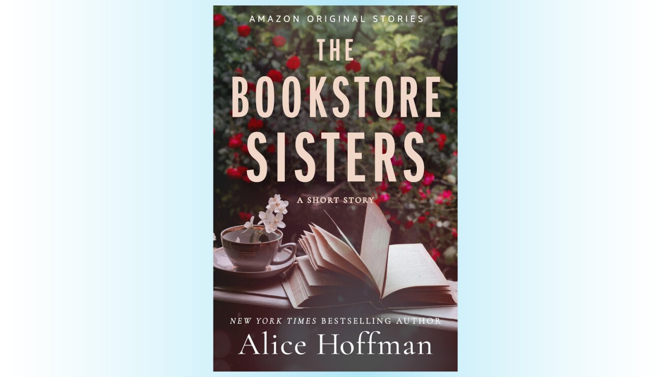 An image of the cover of The Bookstore Sisters.