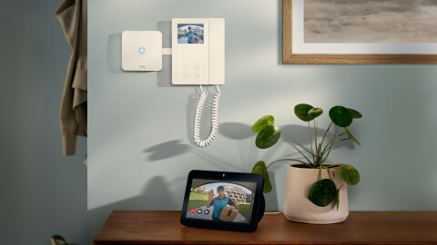 Smart home setup with Ring Video Intercom, Alexa speaker, and houseplant