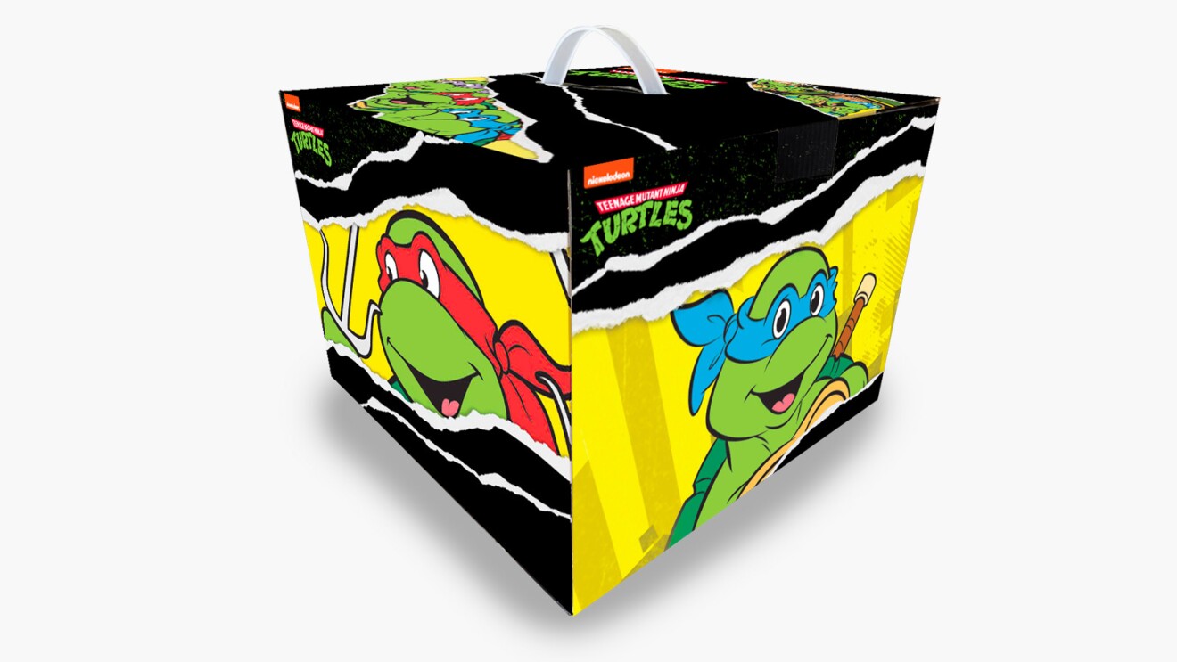 Image of Ninja Turtles Stylin Box.