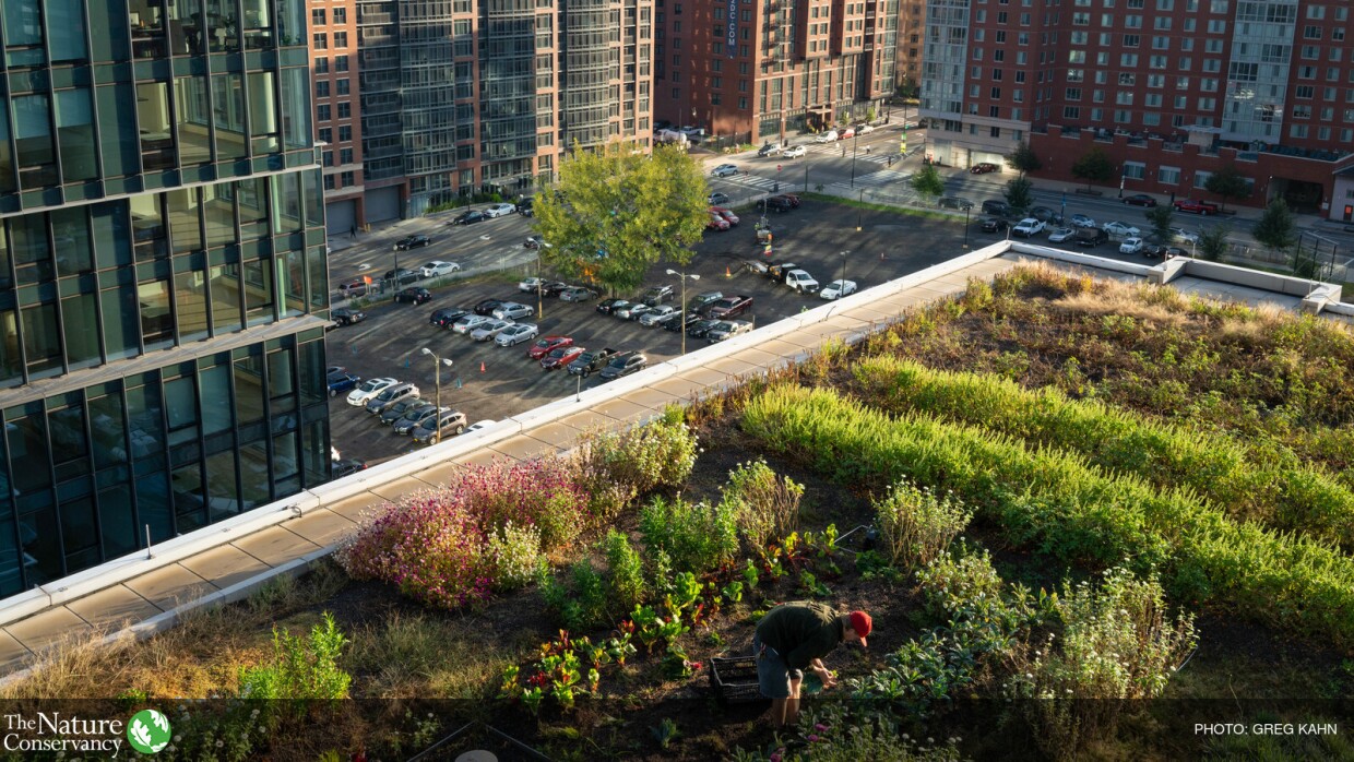 TNC - Stormwater Project ID: TNC17019-germany