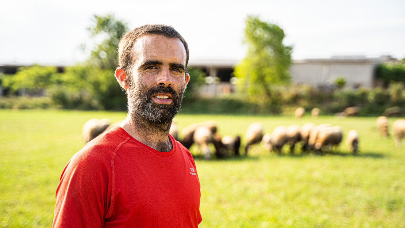 Josep de Ros, pastor.  En primer plano Juan de Ros mirando a cámara. Lleva una camiseta roja y tiene barba, bigote y el pelo corto de color negro y canas blancas. De fondo y desenfocadas parte de su rebaño de ovejas. Están en el campo con pasto verde. De fondo también se ven dos árboles desenfocados. 