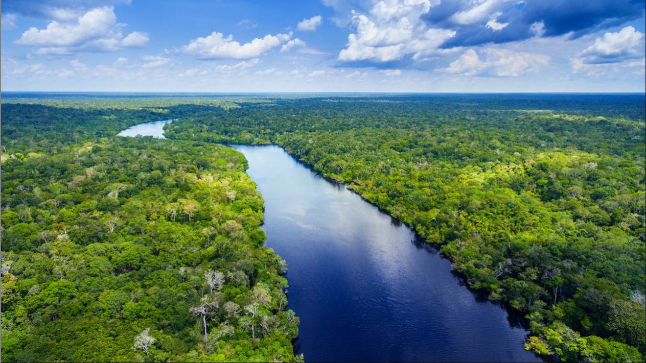 si mostra il rio delle amazzoni con a entrambi i suoi lati una distesa di foresta amazzonica verde e rigogliosa