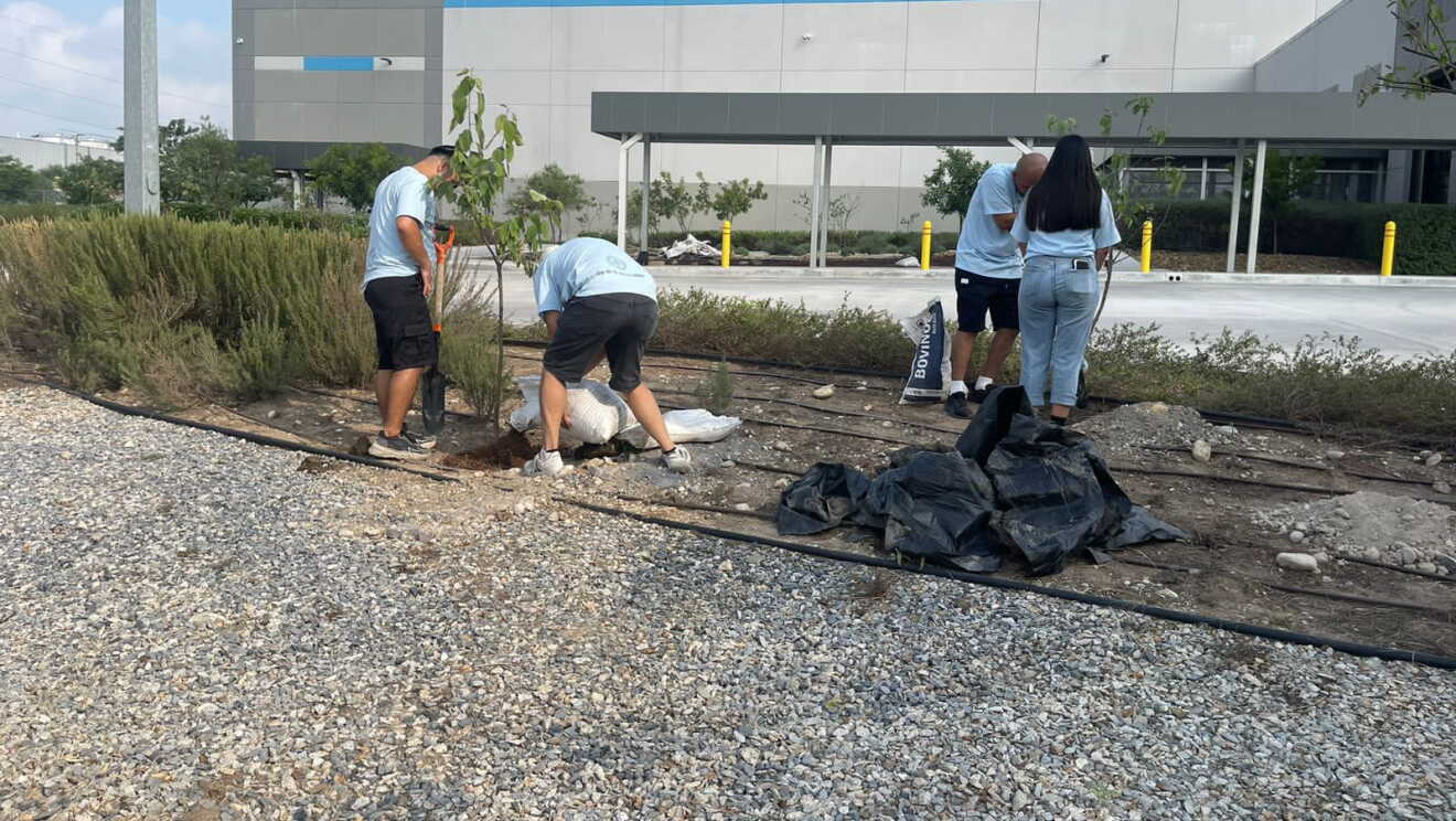 Voluntariado Medioambiental Amazon México 2025