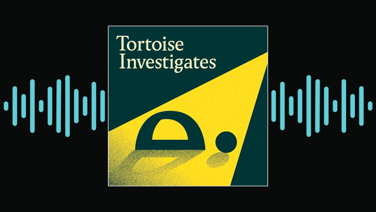 Tortoise Investigates thumbnail