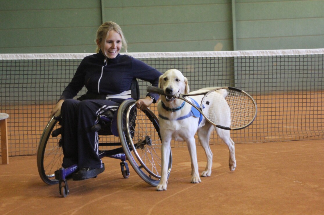 Partner-Hunde Österreich_AmazonSmile