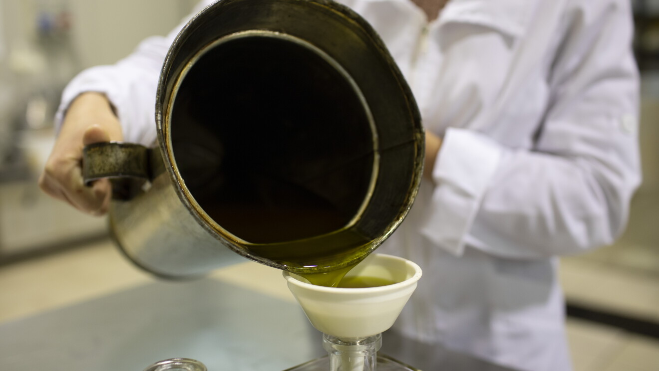 L'olio d'oliva viene passato attraverso un imbuto