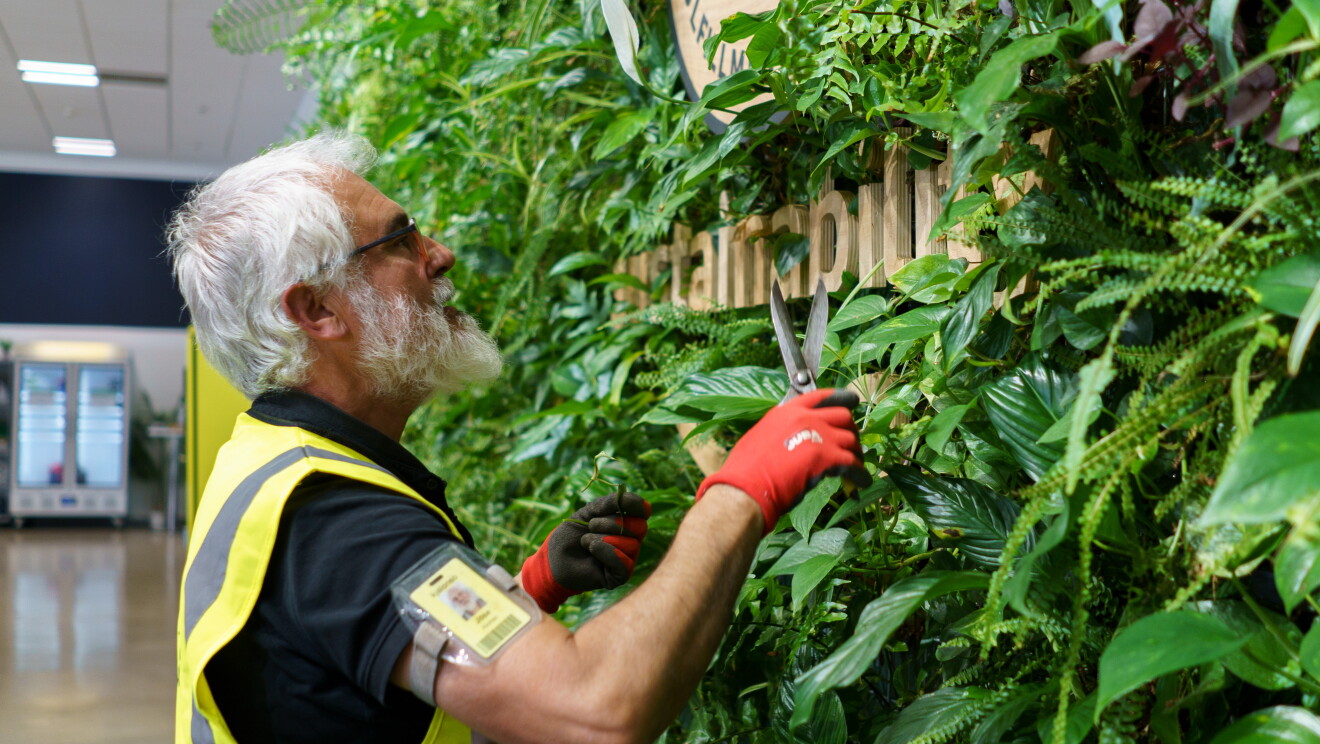 José Manuel Alonso, gerente de la empresa de jardinería Hanami, que lleva dos años trabajando para Amazon.