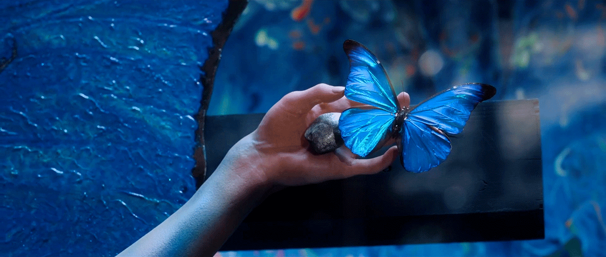 青い壁に取り付けられた黒い長方形のパネルに、人間の左手がのっている。手の平の中央に灰色の石のようなもの、指先に大きな青い蝶が羽を広げている。
