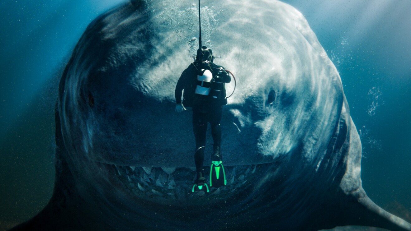 Diver suspended in water facing enormous open shark mouth