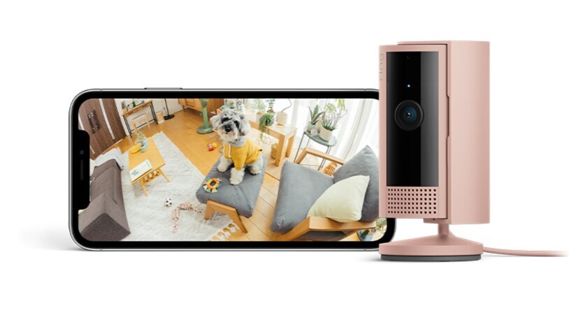 左側には携帯画面にリビングで犬を見ている。その携帯の隣にピンク色のセキュリティカメラが置かれている。