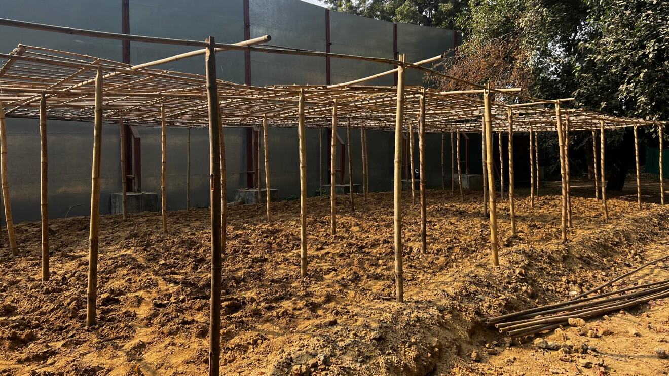 75 urban food gardens by Amazon ICLEI boost nutrition in schools