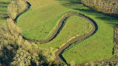 RNCF natuurreservaat de doode belgium sustainability fields