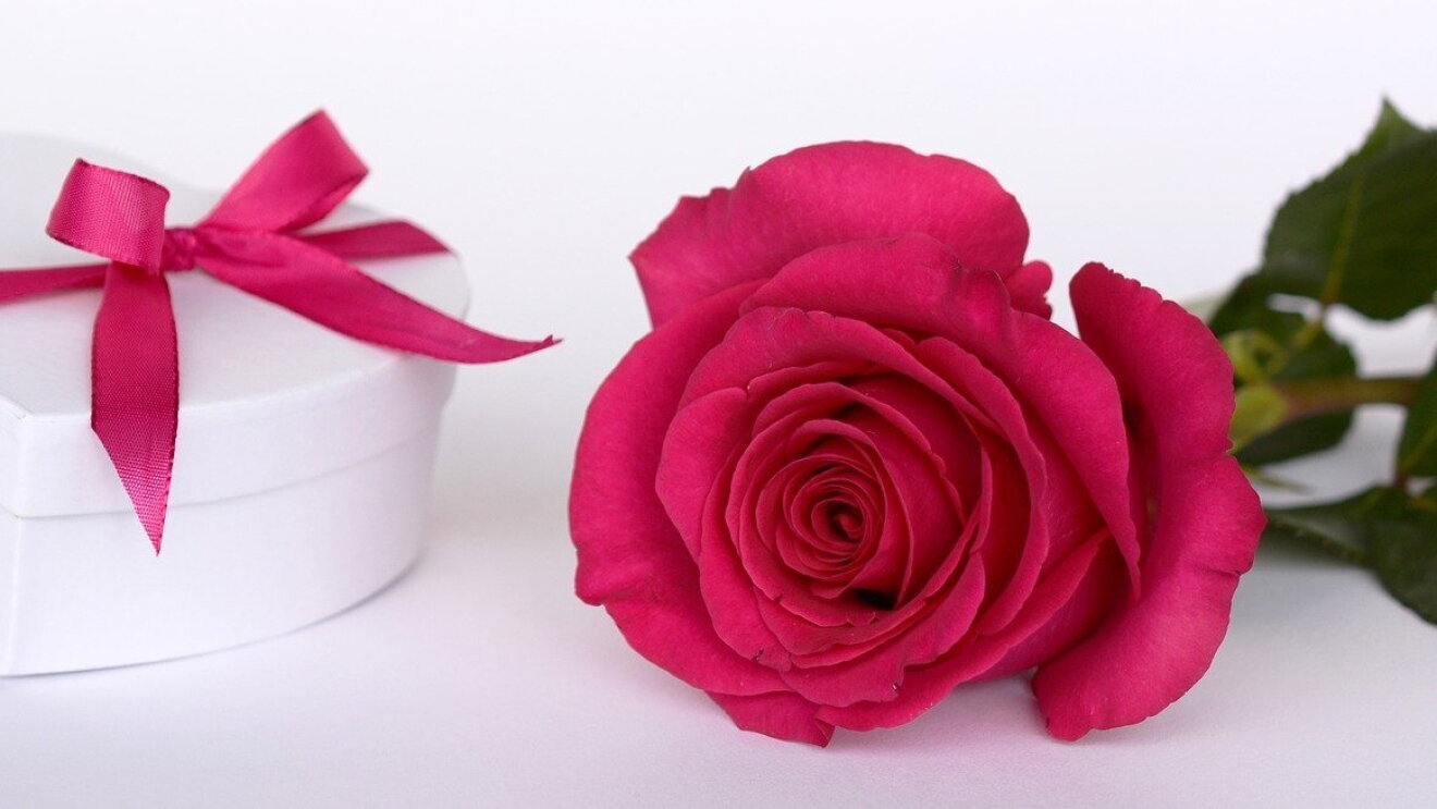 V-Day Amazon India
