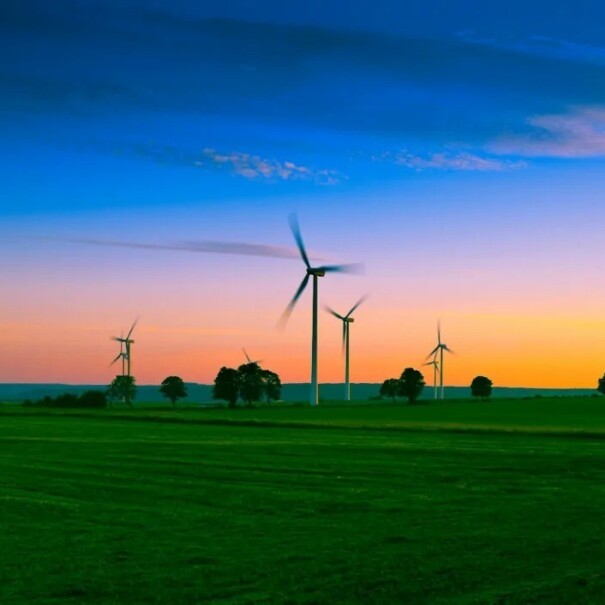 Campo verde con molinos de energía eólica. 
