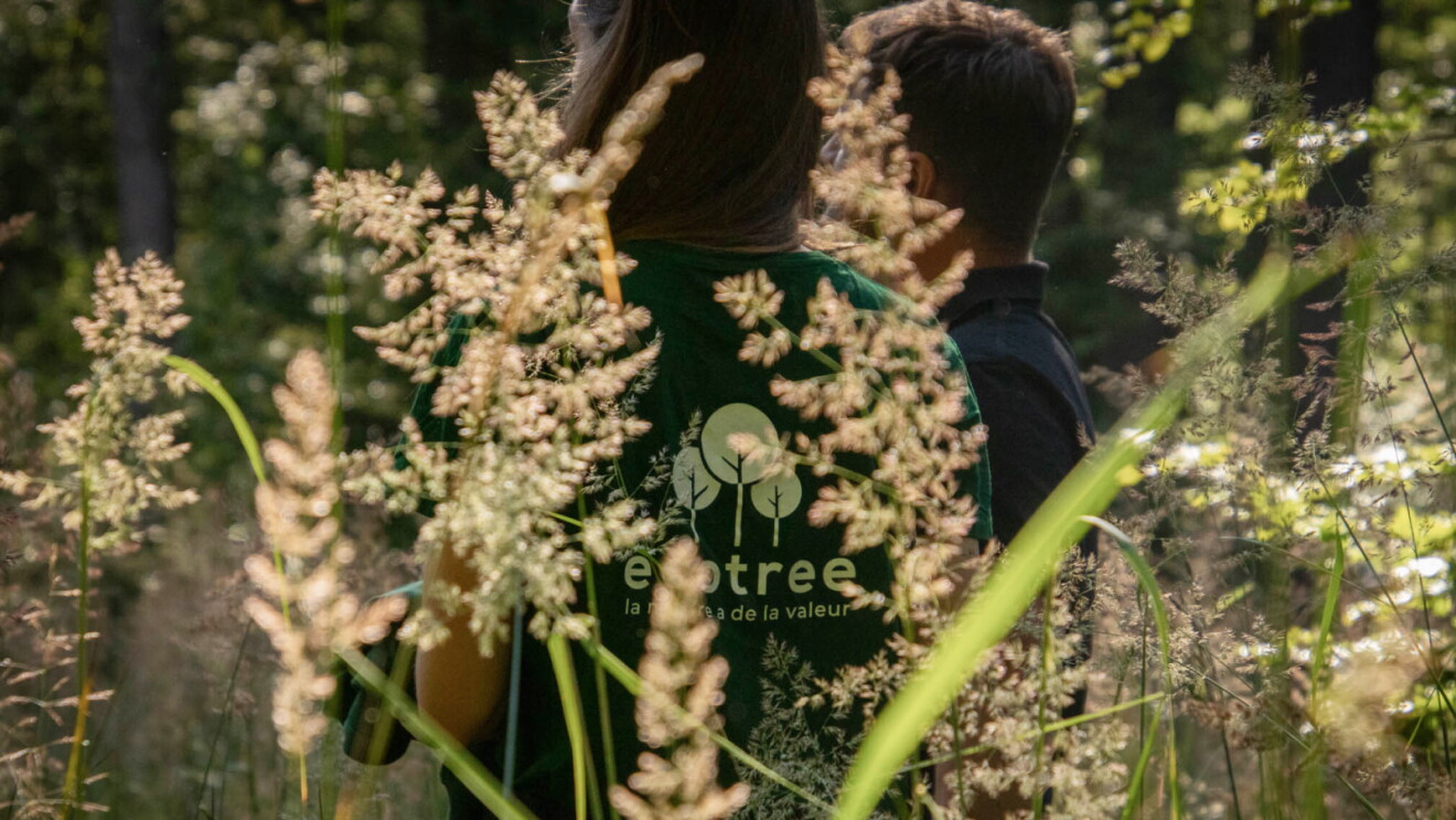 Two people wearing Ecotree branded shirts standing among tall wildflowers in a forest