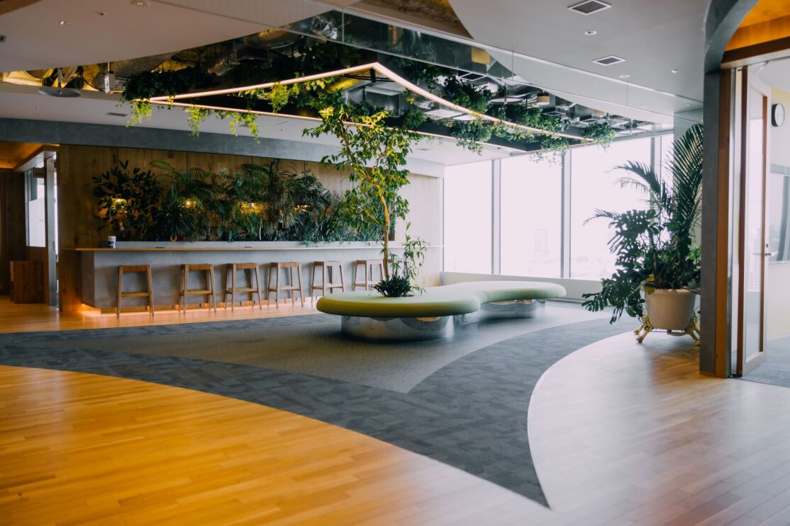 窓に向かって続いている通路、その左側には植物が飾られたバーカウンター