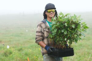 A photo of a Terraformation employee holding a box of seedling trees ready to plant in a field.