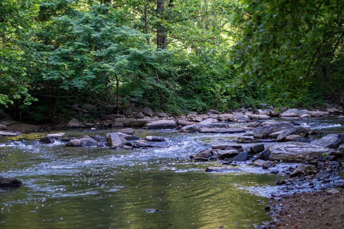 Images of the beautiful outdoor landscapes that inspired the design of Amazon's new, second headquarters.