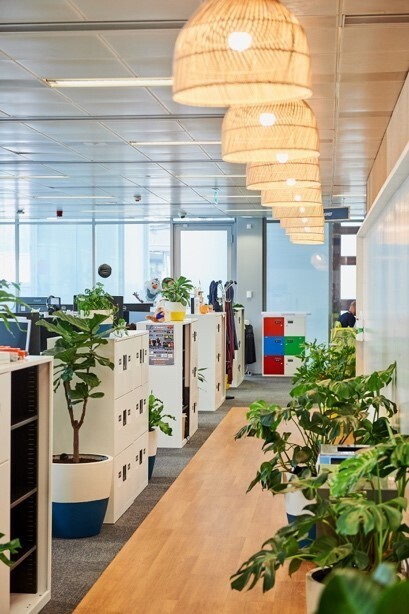 Desks and plants Inside the ADCS building