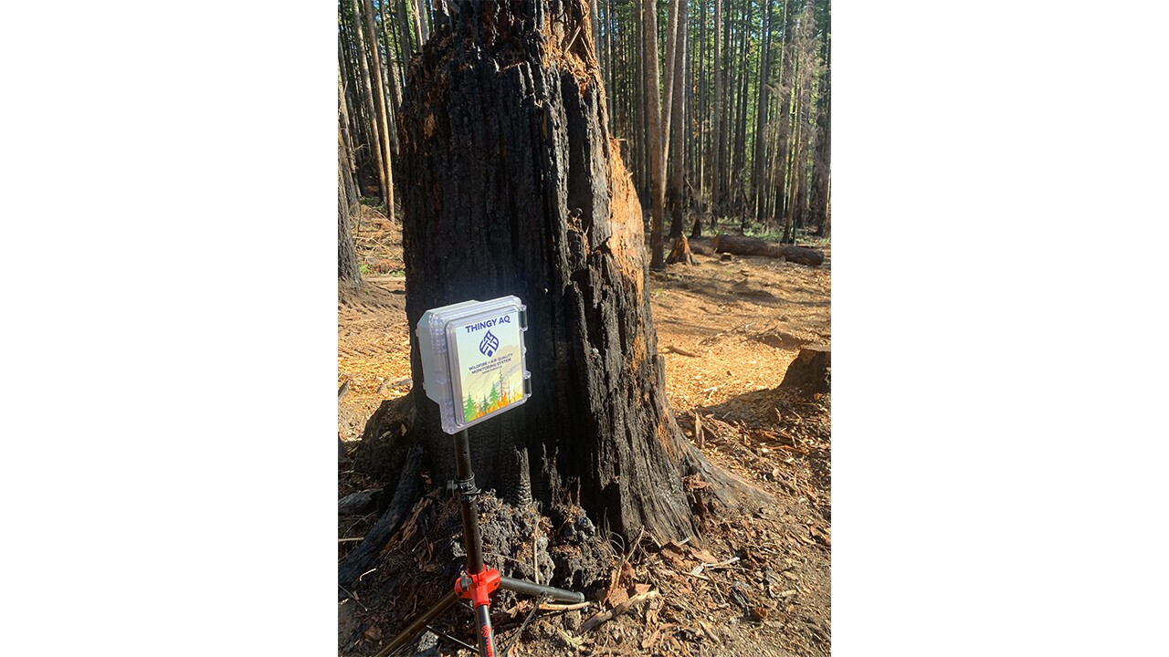 An image of a tree stump in a park. Next to the stump is a small box that says "Thingy AQ" on it.  