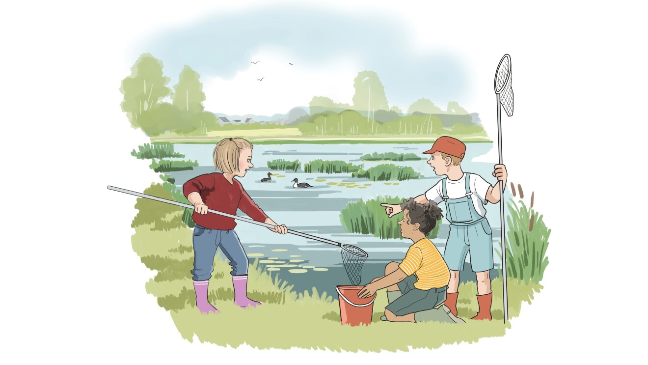 vaĚŠtmark-barn med haĚŠvar-illustration2