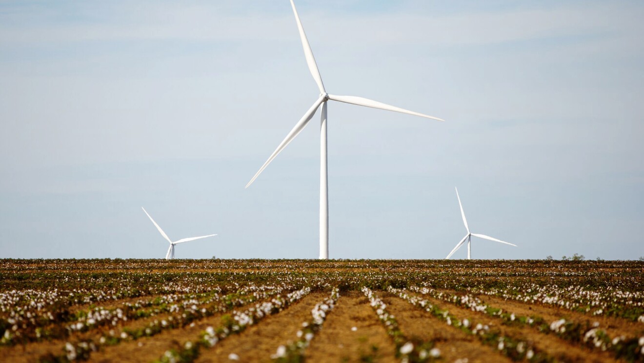 An image of a farm from one of Amazon's renewable energy projects around the world.