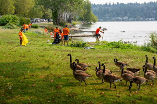 Amazon Volunteers 3