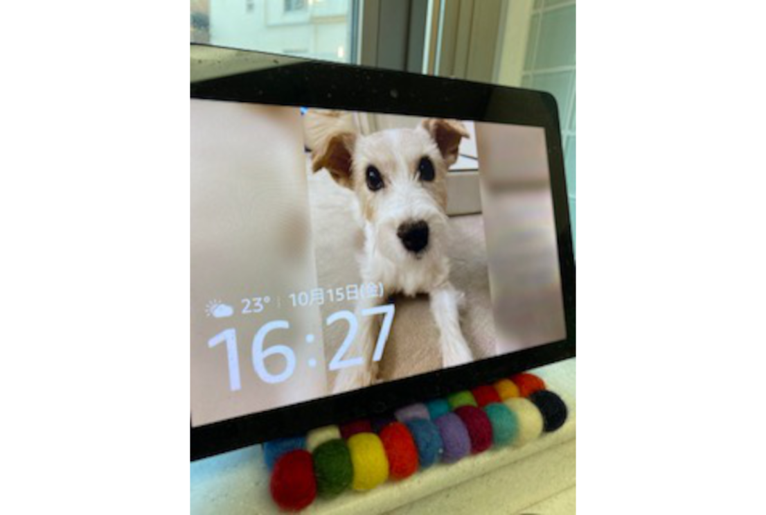 Amazon社員がおすすめする、Alexa（アレクサ）やAmazonデバイスを活用したペットとの暮らし