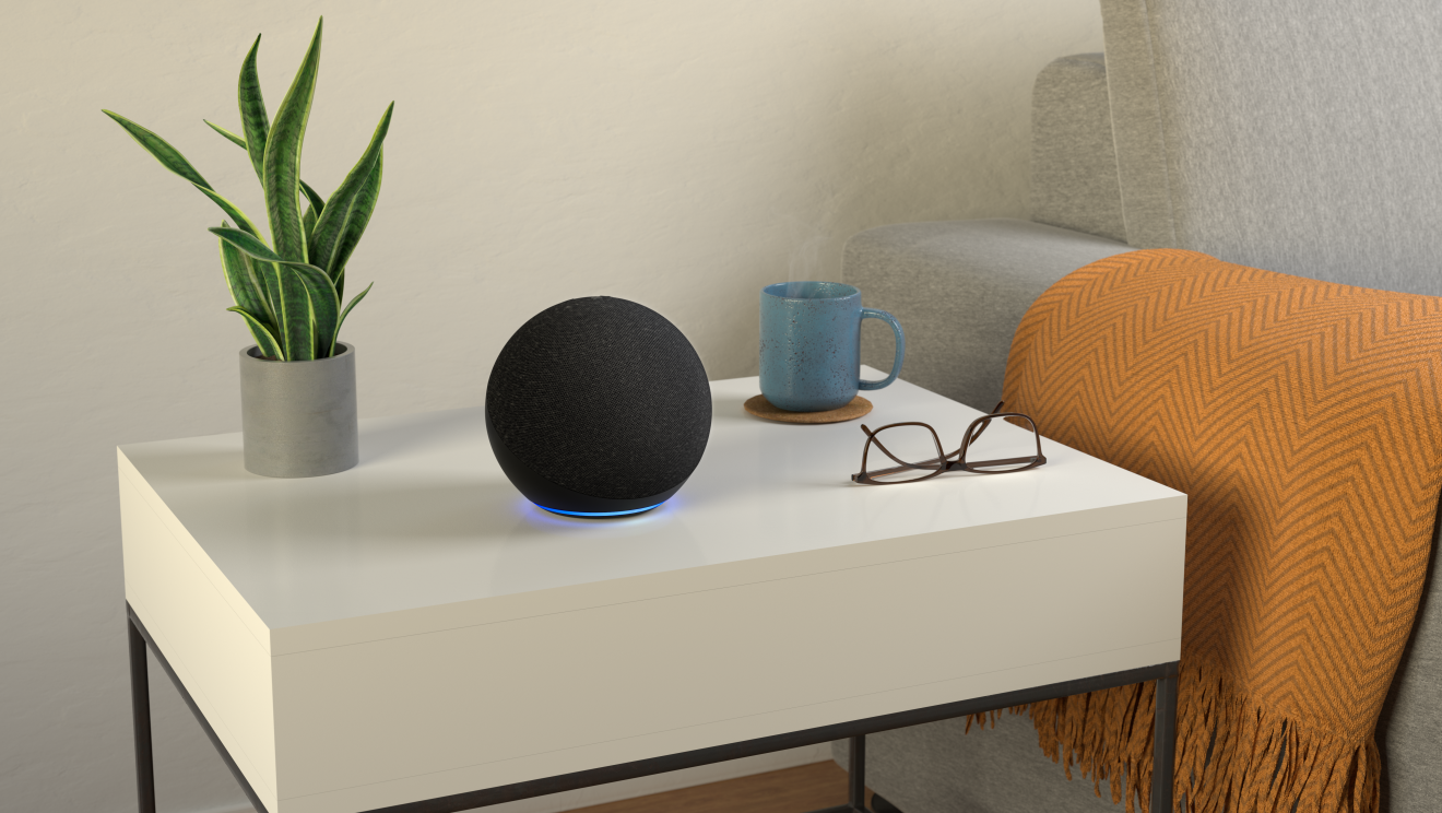 Echo Lifestyle Privacy