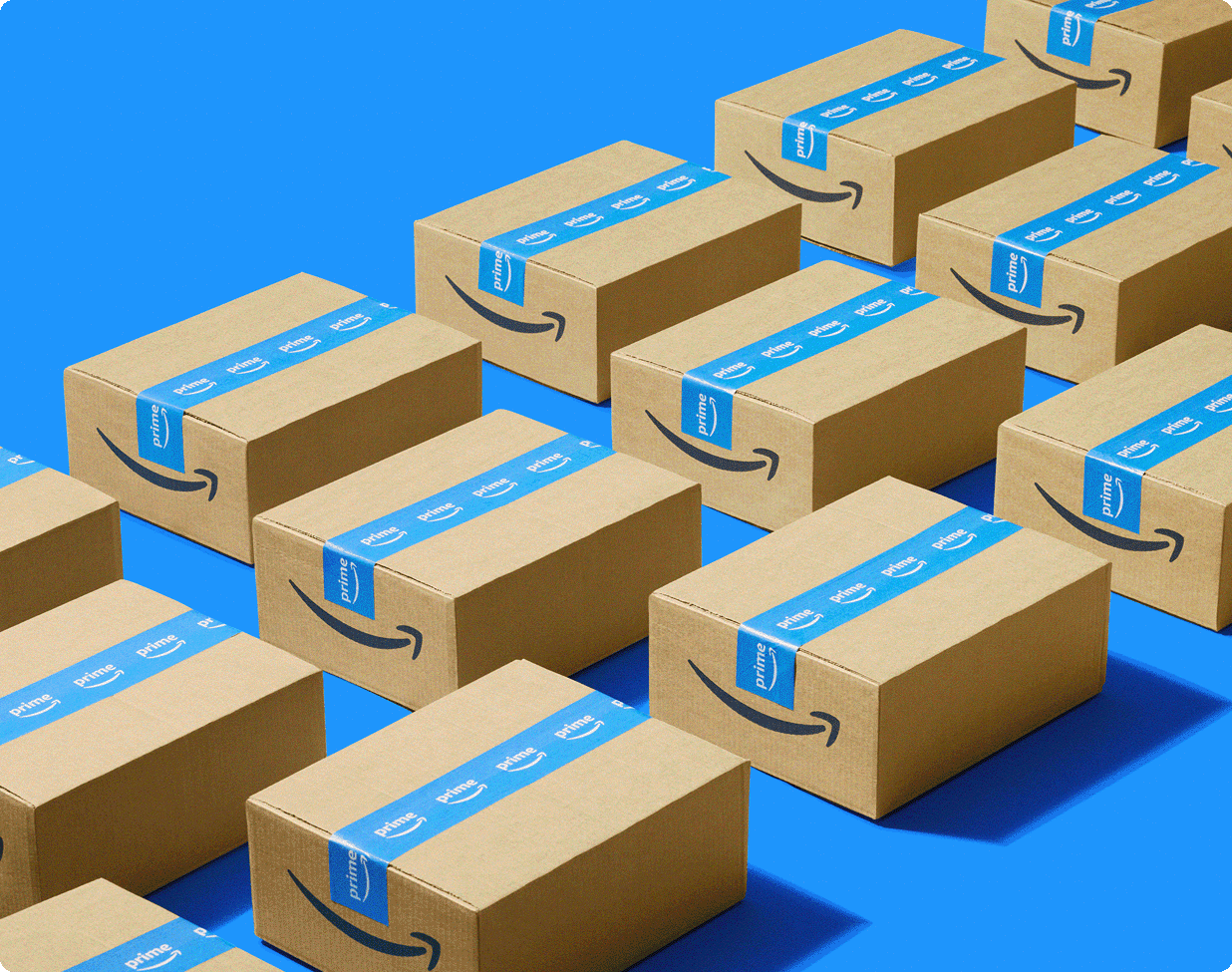 GIF de la recepción de un pedido de Amazon