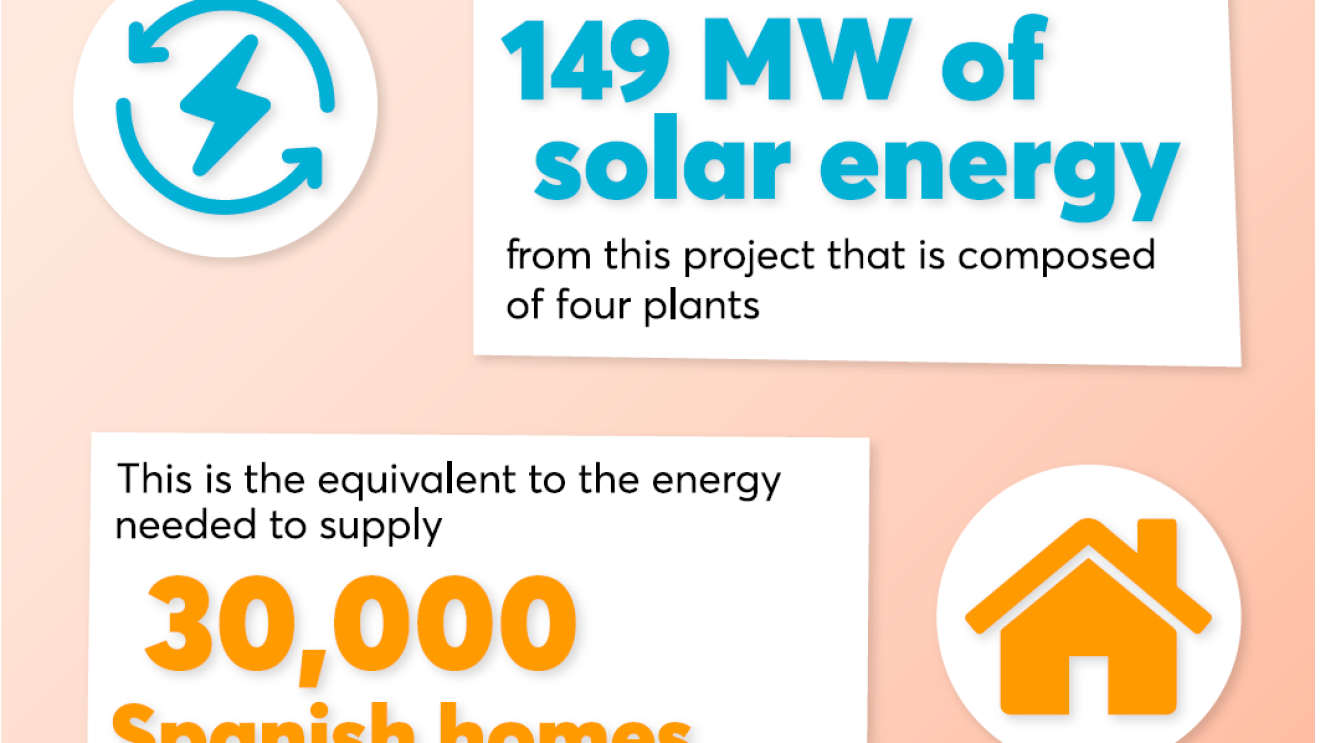 Infographic Algada