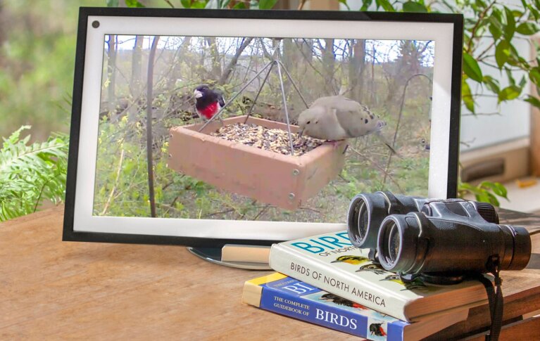 An image of an Echo Show device with birds on the screen. Next to the device are binoculars and books on birdwatching.