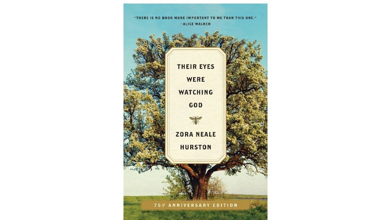 黑人历史月亚马逊图书团队