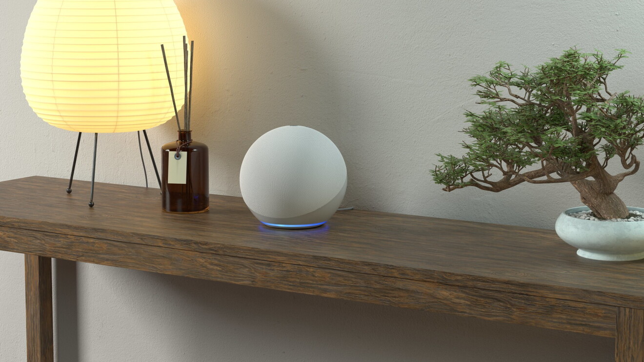 Echo Dot on a table next to a lamp, a reed diffuser and a bonsai tree. 