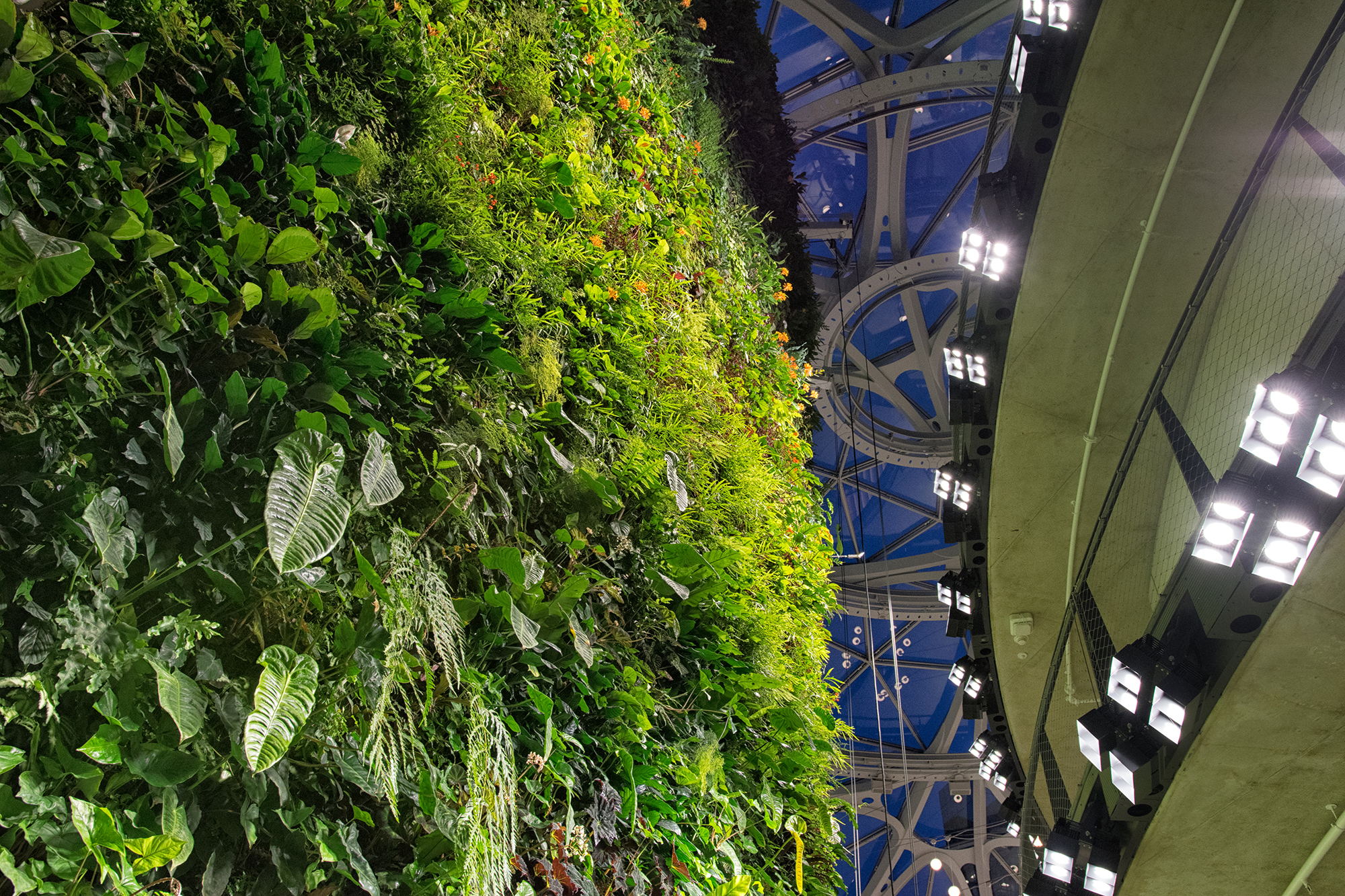 Spheres' living wall 