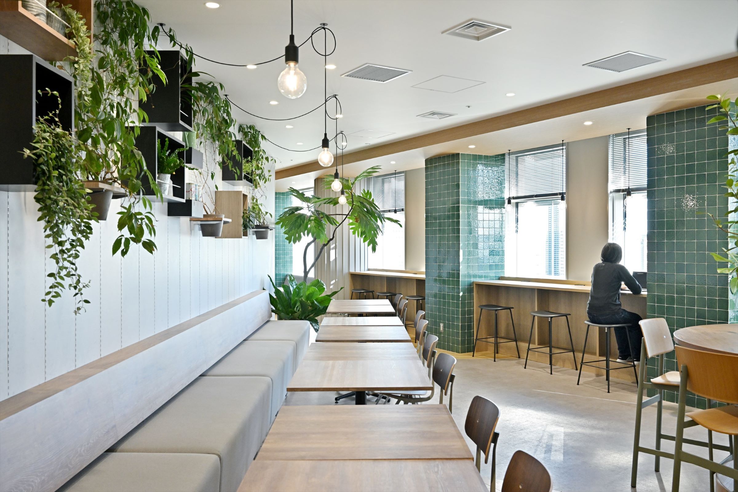 ミニマリストな部屋に数台の机と椅子が並んでいる。壁には様々な植物が黒い箱から吊り下げられている。