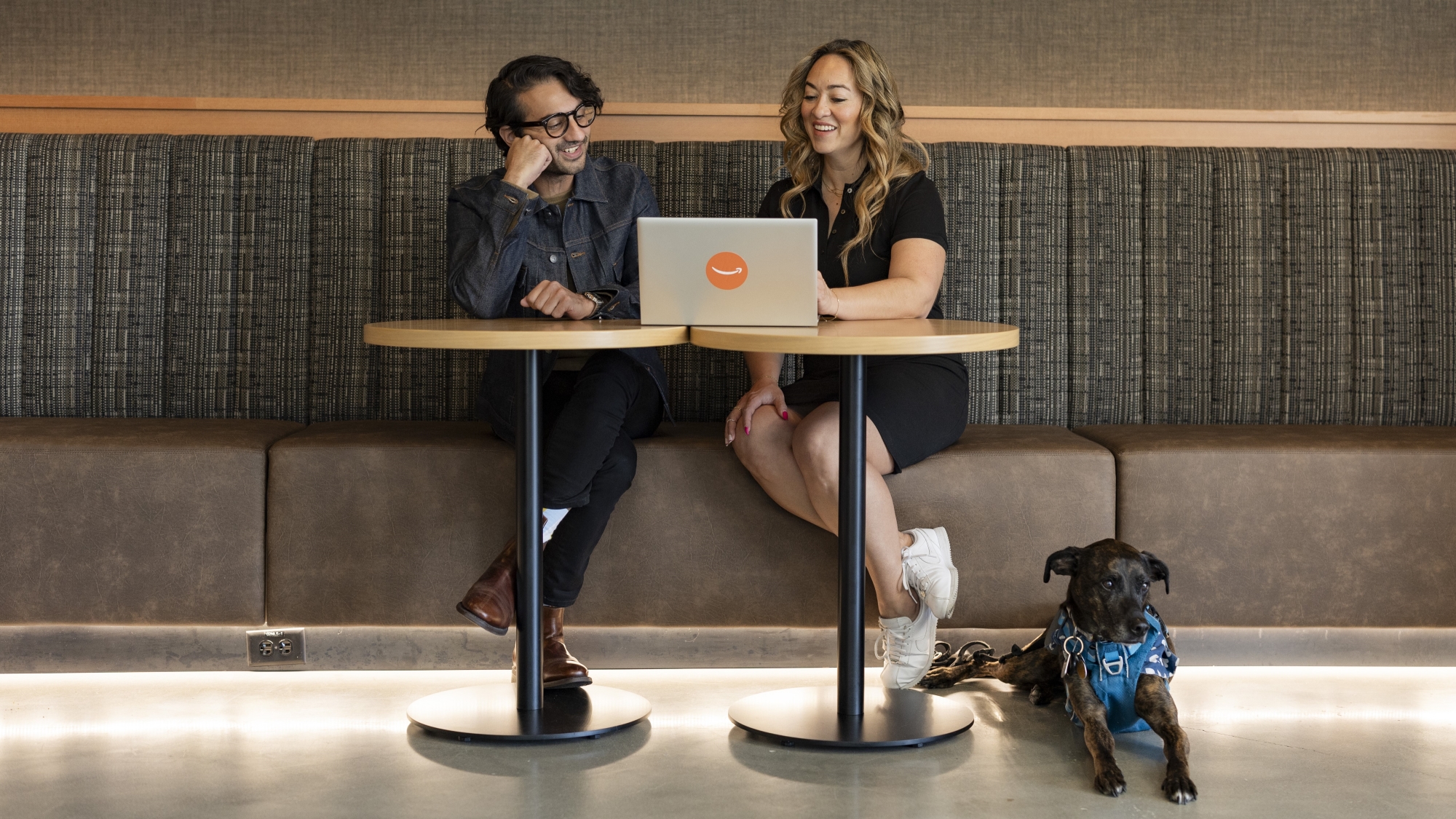 Business meeting at cafe table with laptop, dog rests nearby