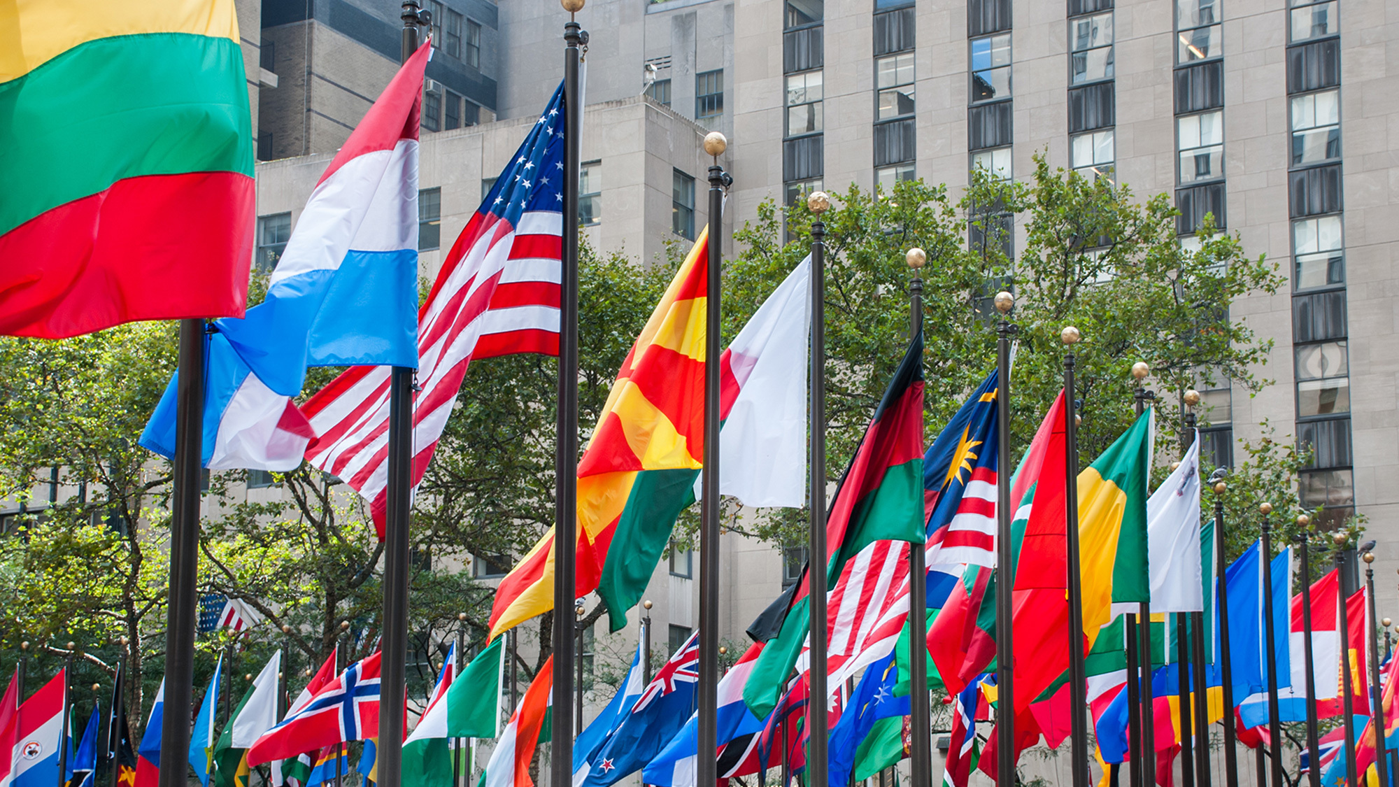 Colorful array of international flags in front of city buildings