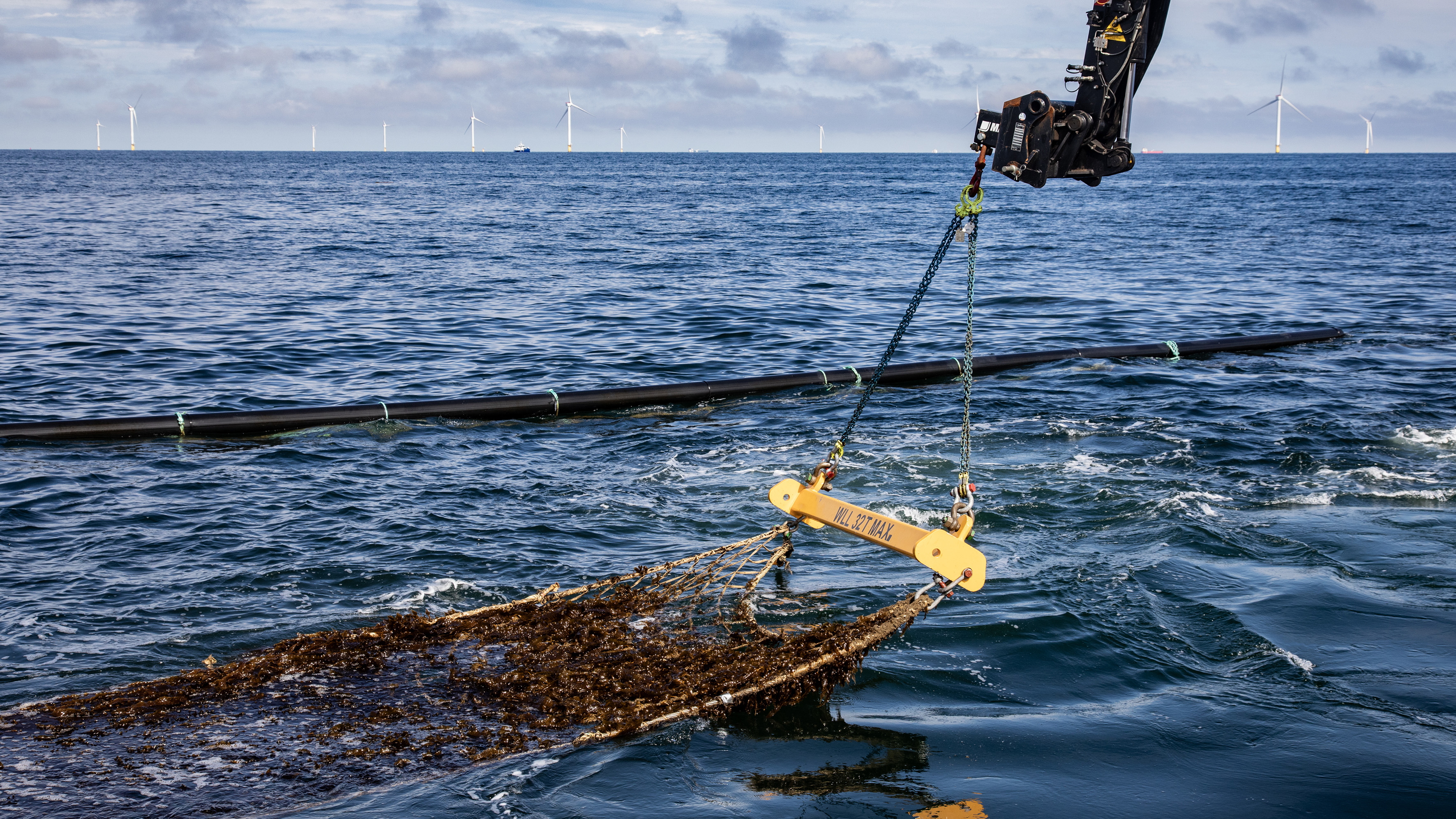 Crane lifting seaweed from ocean with wind turbines in background