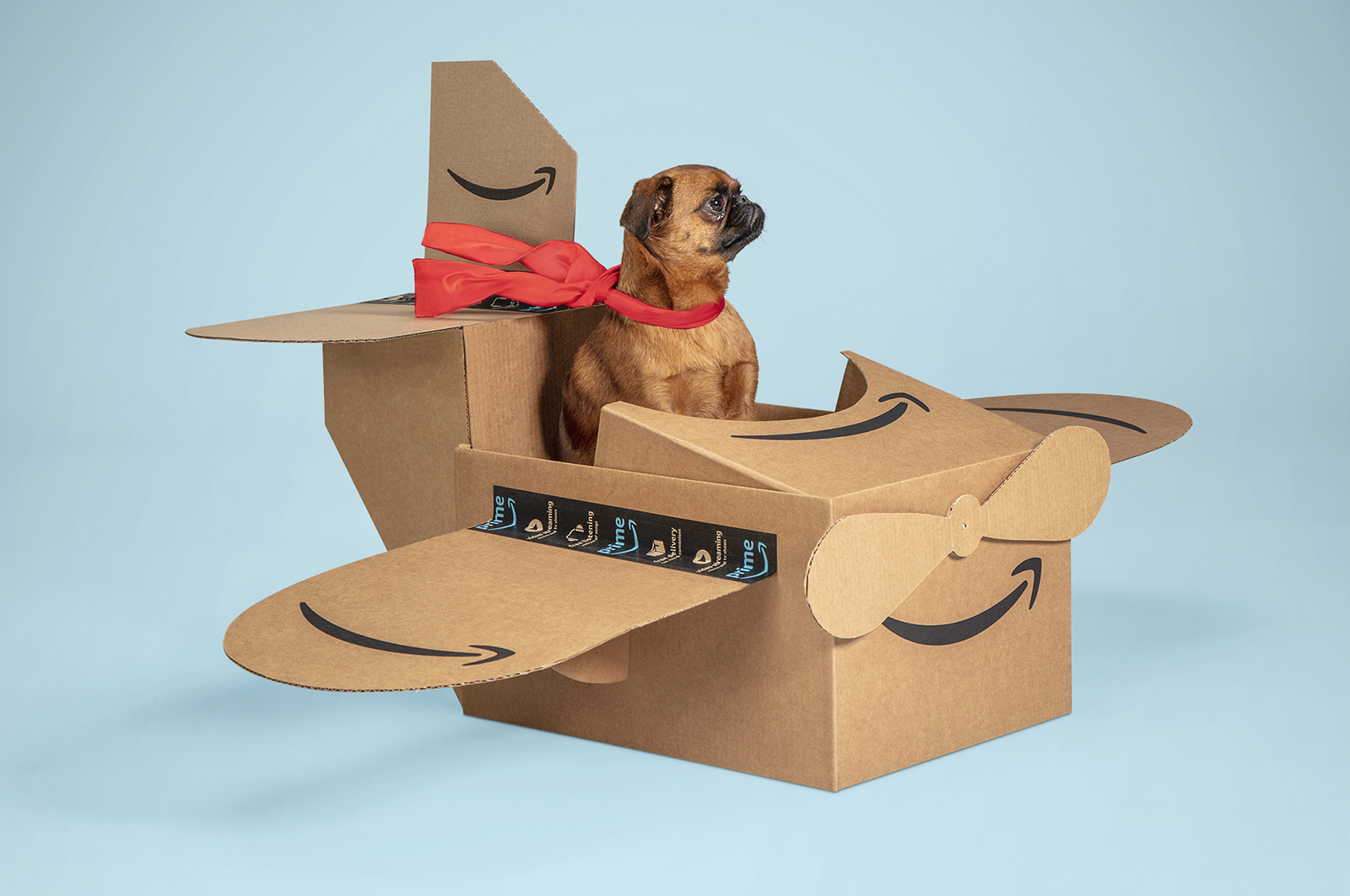 An image of a dog sitting in cardboard plane made of Amazon boxes. Behind him is a light blue background.