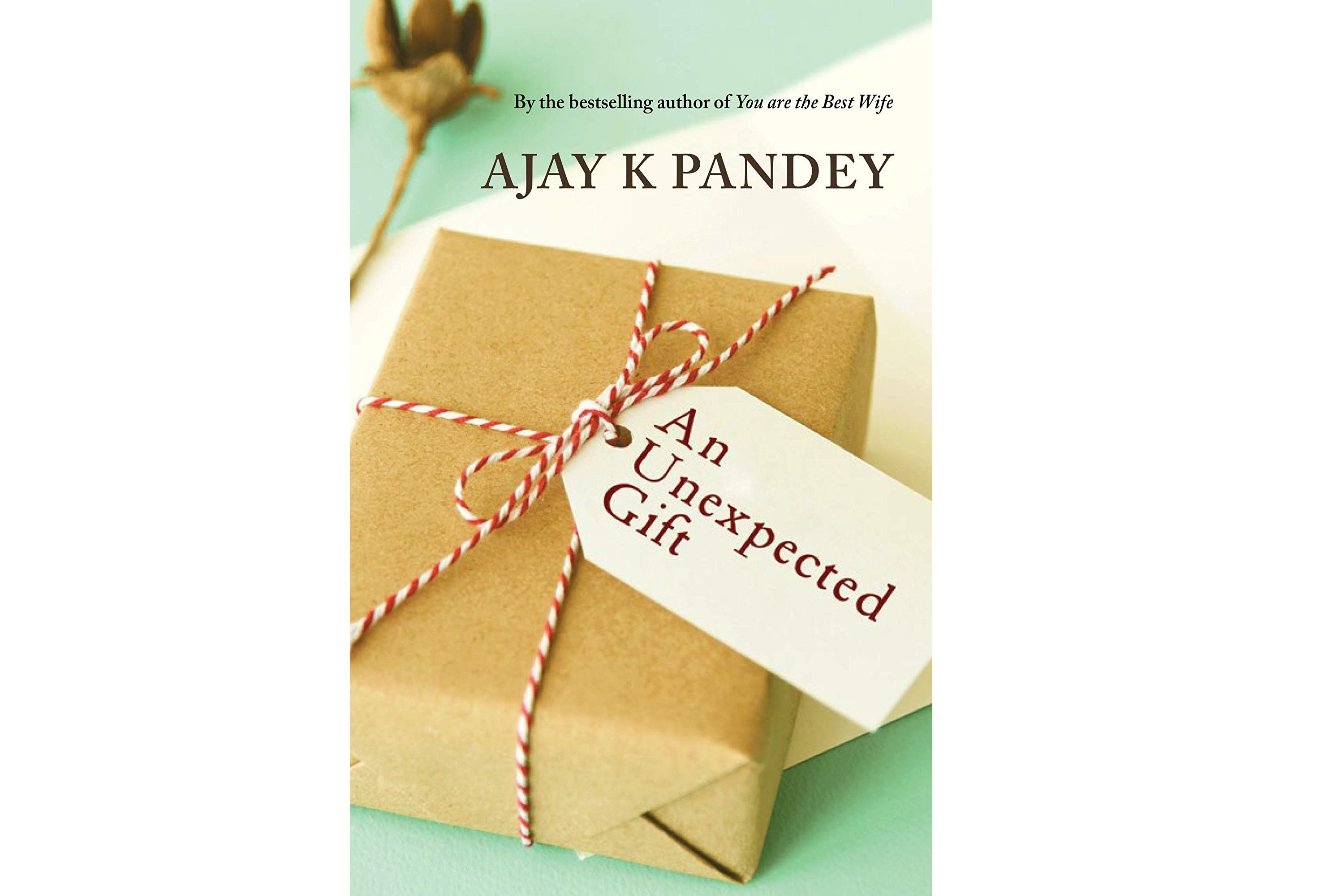 Cover of the book An unexpected gift